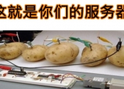 开云体育_建议查查这外挂操作比科幻片还离谱的简单介绍