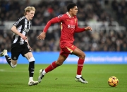 开云平台-利物浦中场核心受伤，或将缺席关键战的简单介绍