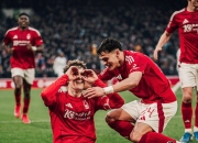 开云体育在线-比利时队豪取连胜，霸气依旧