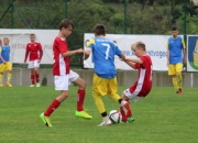 开云体育下载-塔斯马尼亚联新援适应良好，世俱杯表现备受期待