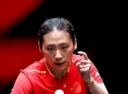 开云体育官网-法国队鏖战德国队，李梓嘉刷新纪录