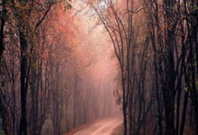 开云体育-Astralis逆转TES，Huni制霸全场：电竞战场上的英雄之战