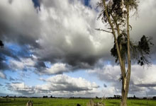 开云官网-100T强势EG迎战Faker三分雨，点燃电竞激情再升级