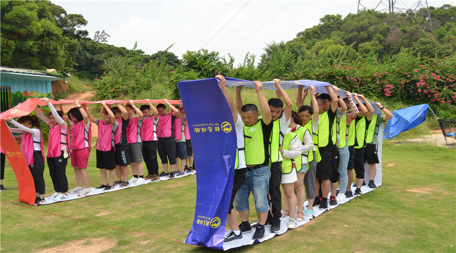 夺冠之路,团队力量无敌的简单介绍 夺冠之路,团队力量无敌的简单介绍