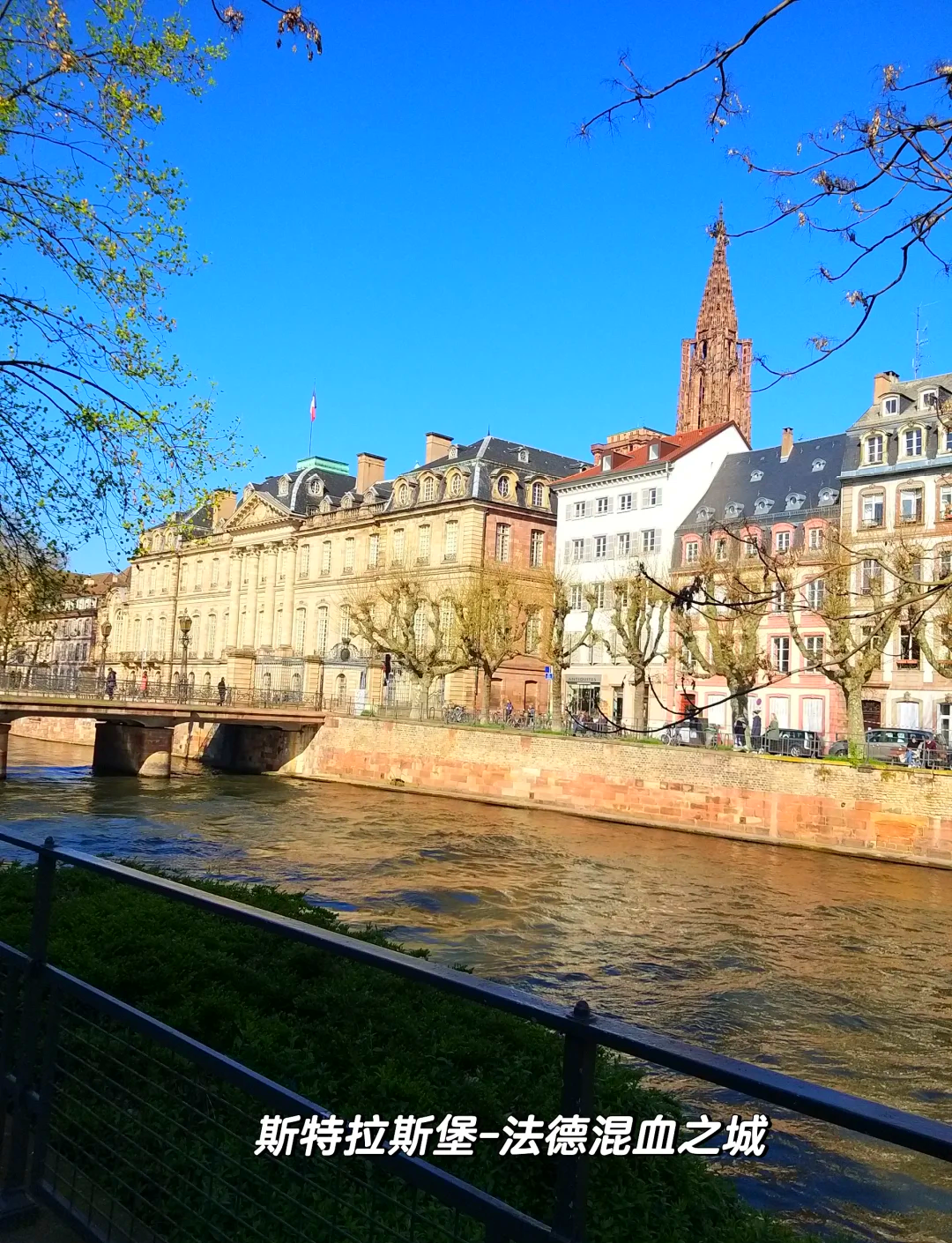 关于斯特拉斯堡坐镇主场，客场战平南特的信息