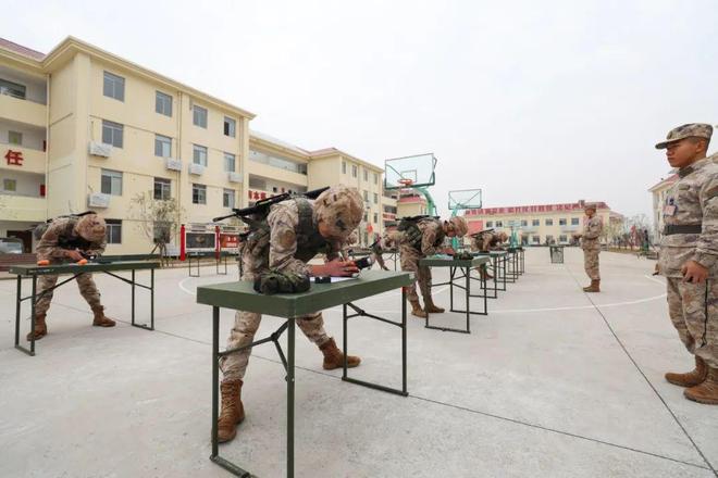 包含索马里篮球联赛再掀热潮，多支劲旅对阵的词条