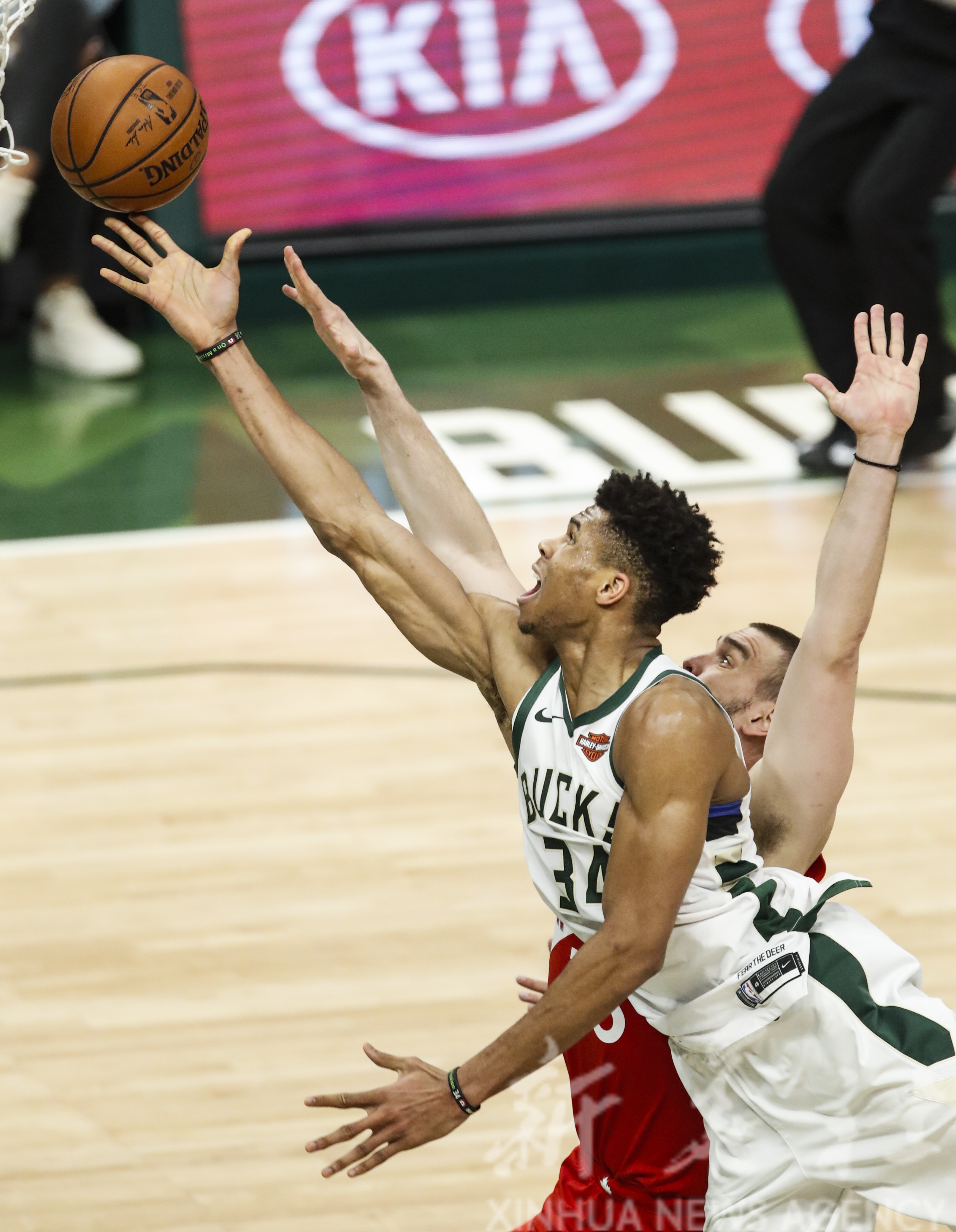 猛龙战胜布鲁克林网,东部决赛领先的简单介绍 猛龙战胜布鲁克林网,东部决赛领先的简单介绍