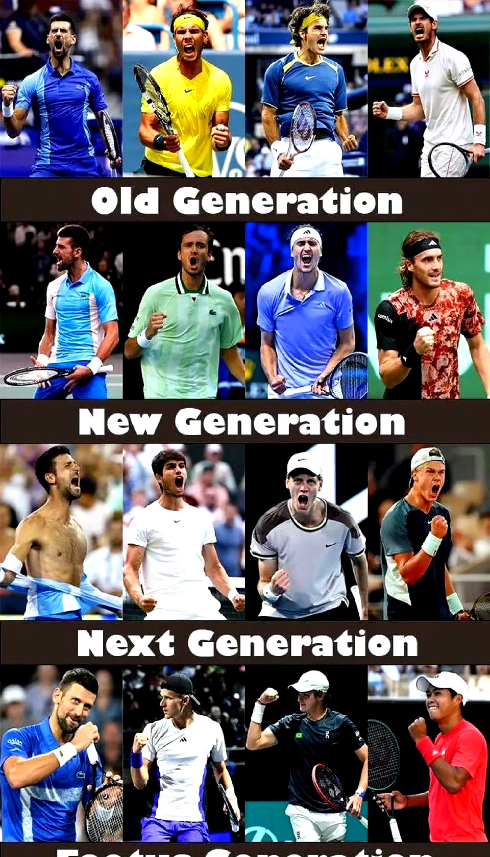 德国网球队横扫美国网球队，德约科维奇制霸全场的简单介绍