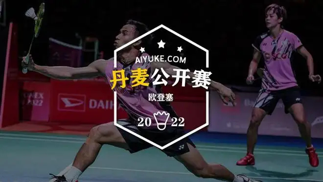 丹麦羽毛球队翻盘法国羽毛球队，马琳统治全场的简单介绍